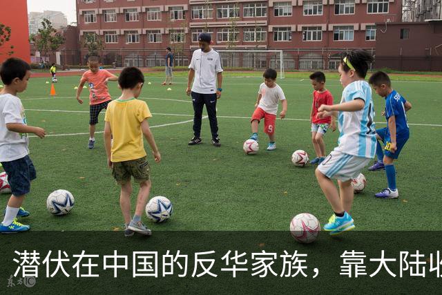 潜伏在中国的反华家族，靠大陆收入上亿，现国家出手下场大快人心